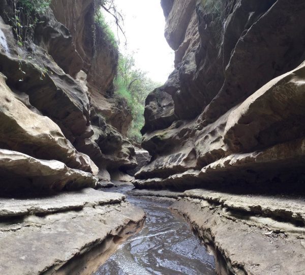 1Night 2 Days Hell’s Gate & Lake Naivasha