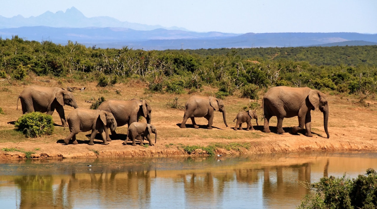 Popular Kenya Tourism Destinations