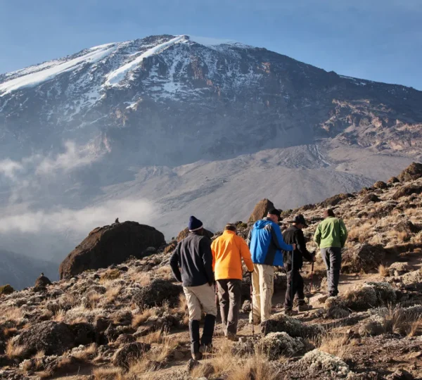 9 Days Climbing Kilimanjaro, Using Machame route
