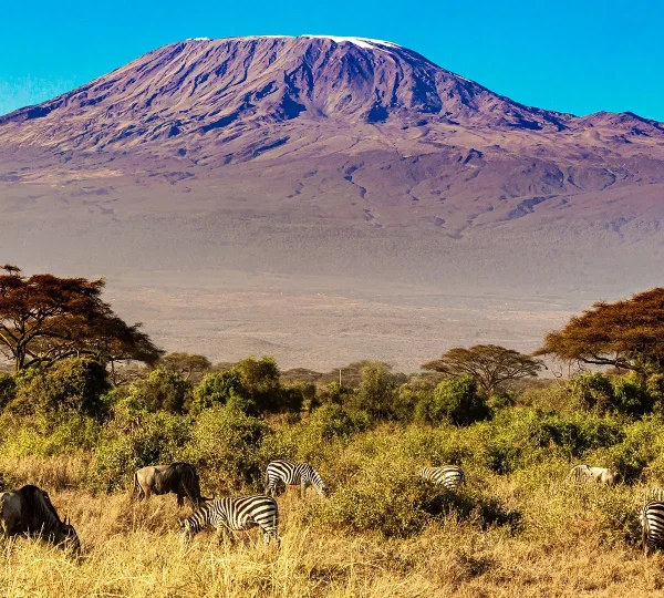 9 Days Climbing Mount Kilimanjaro Using the Lemosho Route
