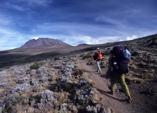 Kilimanjaro Climb Through Marangu Route 6 Nights 7 Days.