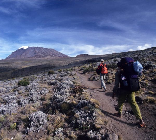Kilimanjaro -Climb Marangu route 6 Nights 7 Days.