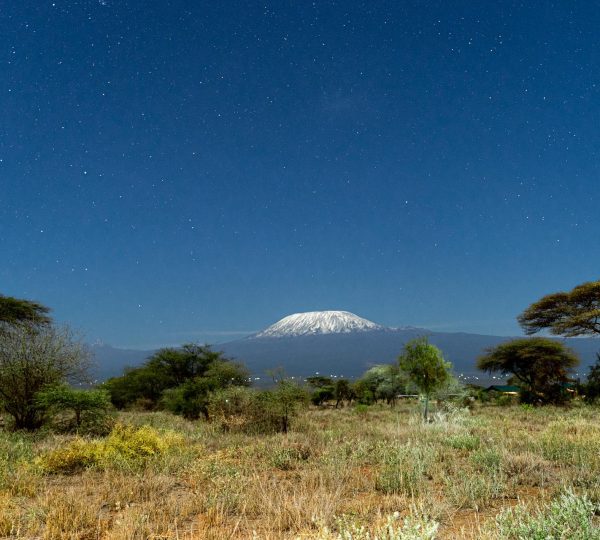 11 Days Climbing Kilimanjaro Northern Circuit Route