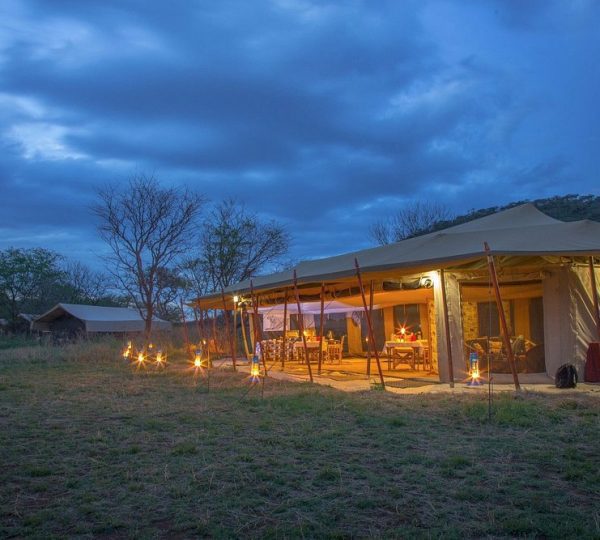 Best of the Wild Luxury Safari - Tanzania 6 Days 5 Night