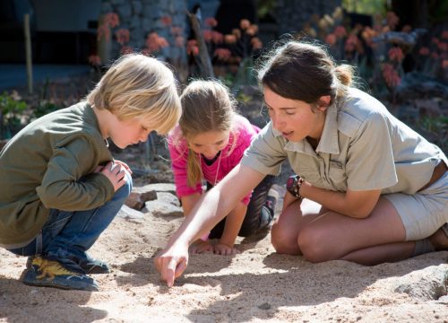 Kids Friendly Safaris | Travel with Family