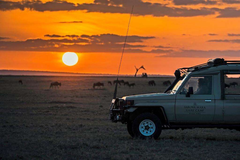 Wild Christmas Wonders in Samburu - Group Join-In