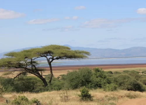 6 Days Tanzania Safari: Lake Manyara, Serengeti, Olduvai Gorge & Ngorongoro Crater