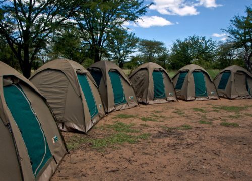 The Ultimate List of Kenya’s Best Christmas Holiday Destinations