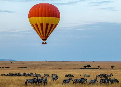 Kenya Luxury Flying Safari – 7 Days | Africa Events Travel