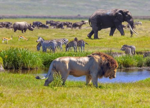 4-Day Tanzania Safari: Ngorongoro, Serengeti & Lake Manyara