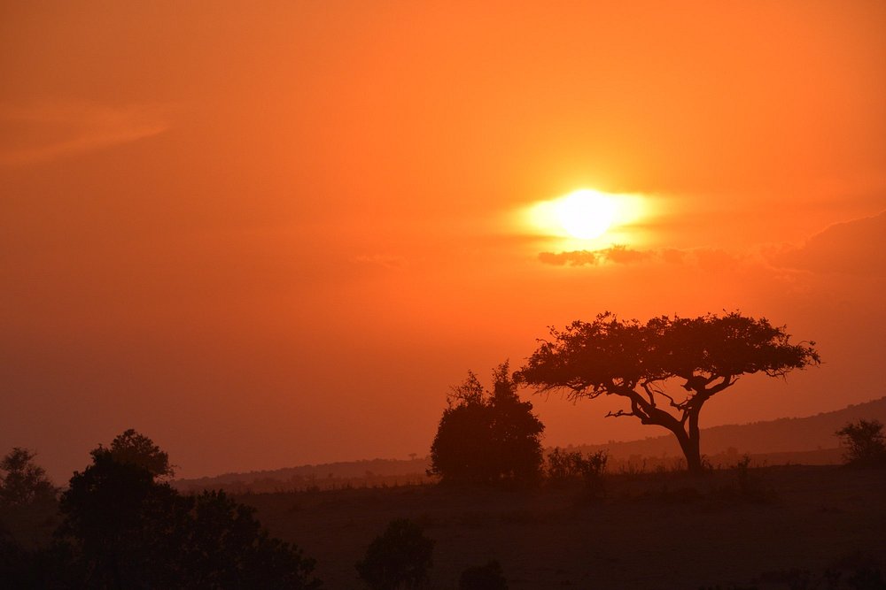 Amboseli National Park