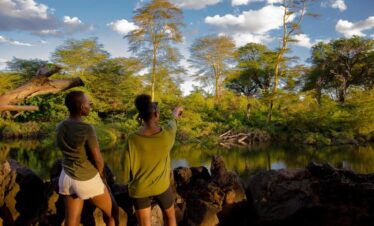Maneaters Camp Tsavo
