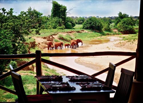Manyatta Camp Voi | Your Gateway to Tsavo East National Park