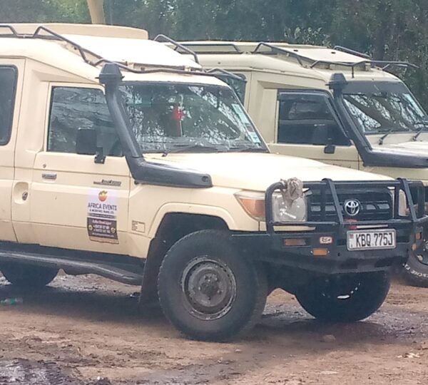 East Africa Discovery Safari 2026