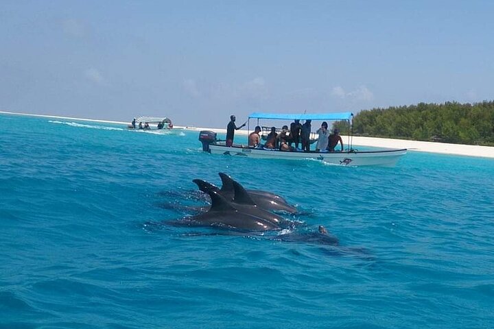 Mnemba Island and Swim with Dolphin