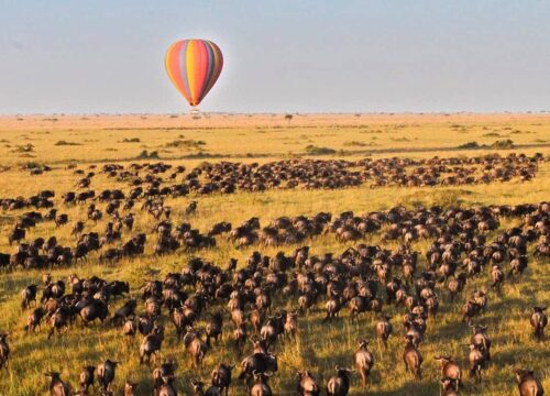 Best of East Africa Safari 2026 | 12 Days Kenya & Tanzania Luxury Group Tour