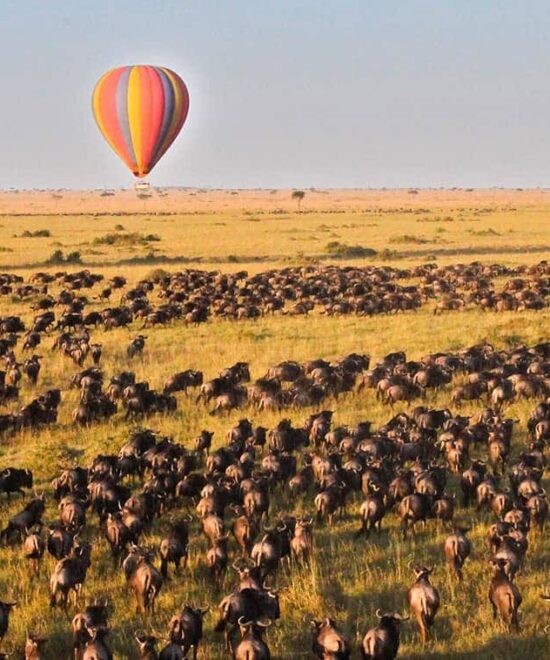 Best of East Africa Safari 2026 | 12 Days Kenya & Tanzania Luxury Group Tour