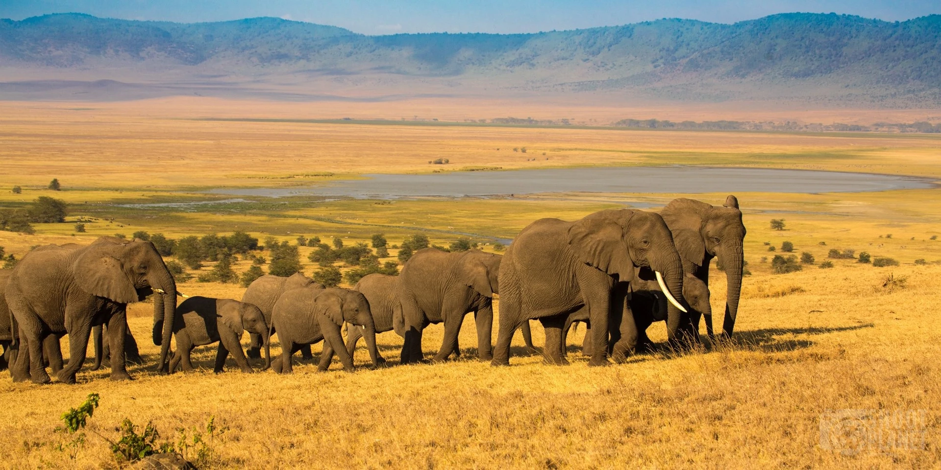 5 Days 4 Nights Amboseli Safari