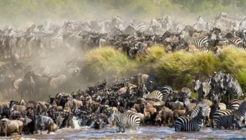 Beyond the Masai Mara: Discover Kenya Through Affordable Group Joining Safaris