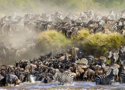 Beyond the Masai Mara: Discover Kenya Through Affordable Group Joining Safaris