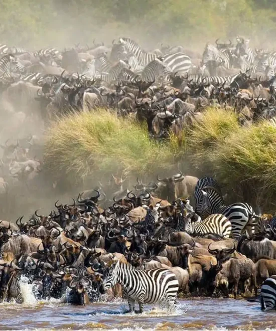 Beyond the Masai Mara: Discover Kenya Through Affordable Group Joining Safaris